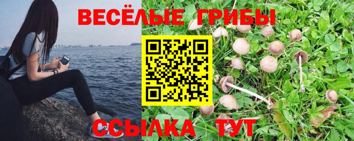 Псилоцибиновые грибы ЛСД  Вход с VPN  Знаменск 