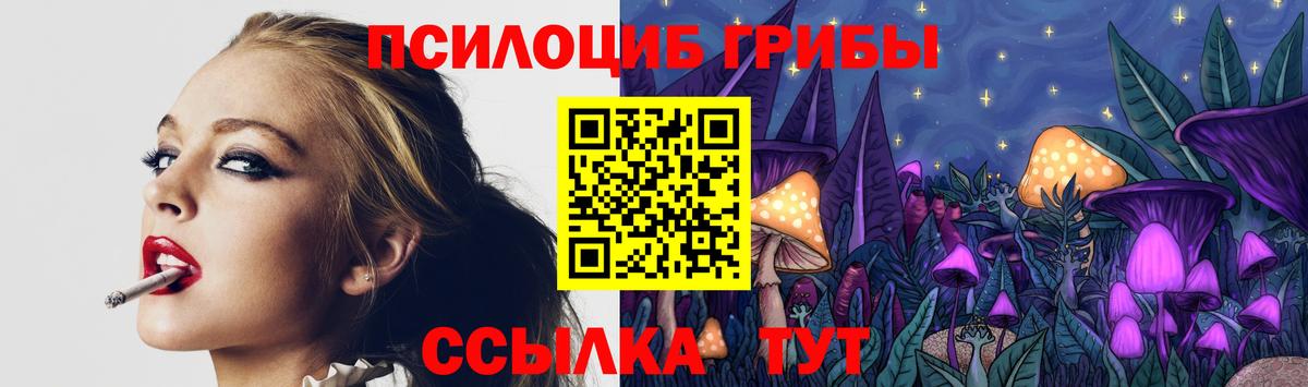 Галлюциногенные грибы GOLDEN TEACHER Знаменск